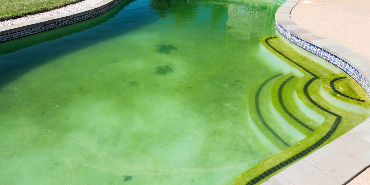 Comment entretenir votre piscine au quotidien ?
